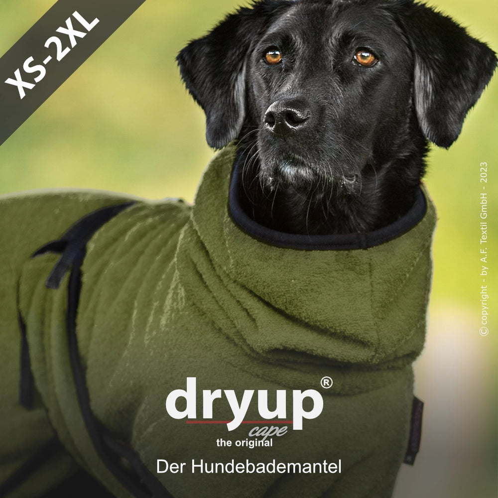 "Ein Hund trägt einen grünen Dryup® Hundebademantel mit hohem Kragen, erhältlich in Größen von XS bis 2XL."