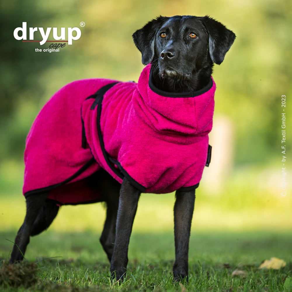 Hund in pinkem Dryup® Hundebademantel mit hohem Kragen und Gürtel, steht auf grünem Gras zur Aufnahme.