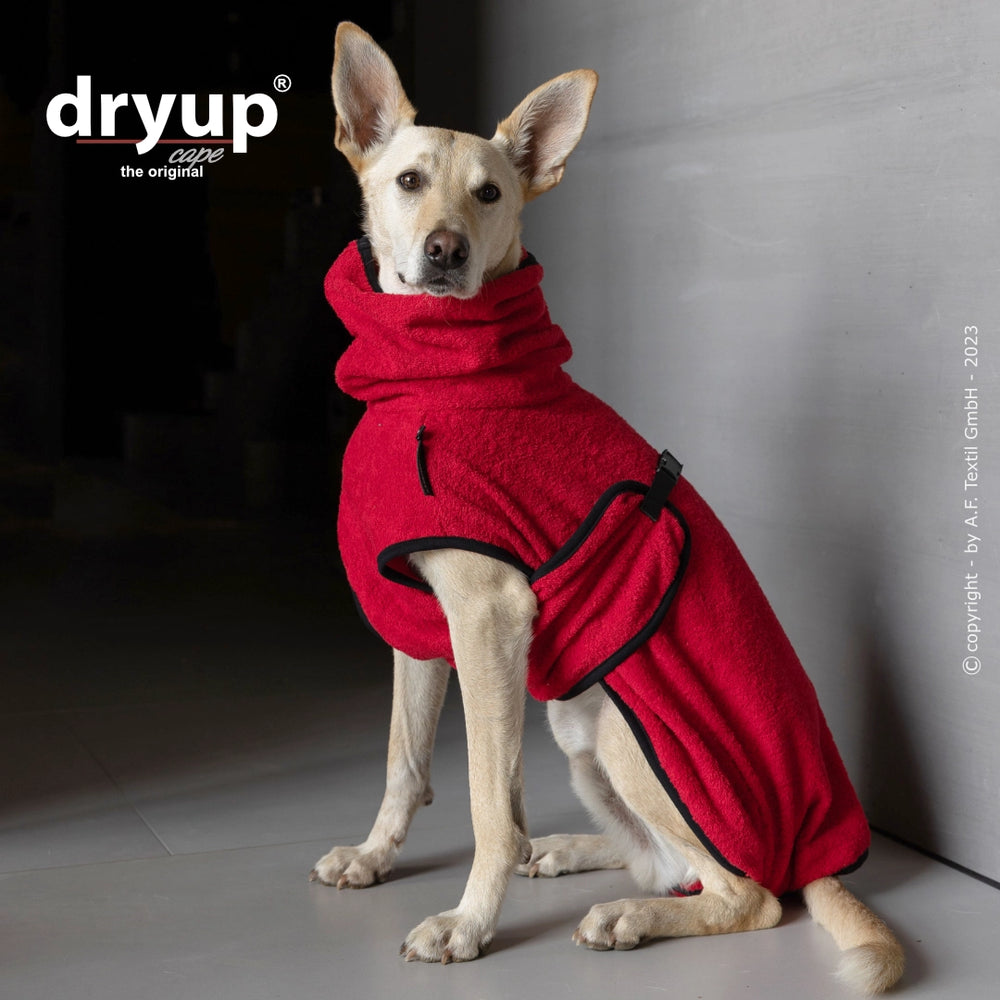 Hund in rotem Dryup® Cape mit hohem Kragen und Taschen, ideal zum Trocknen nach dem Baden.