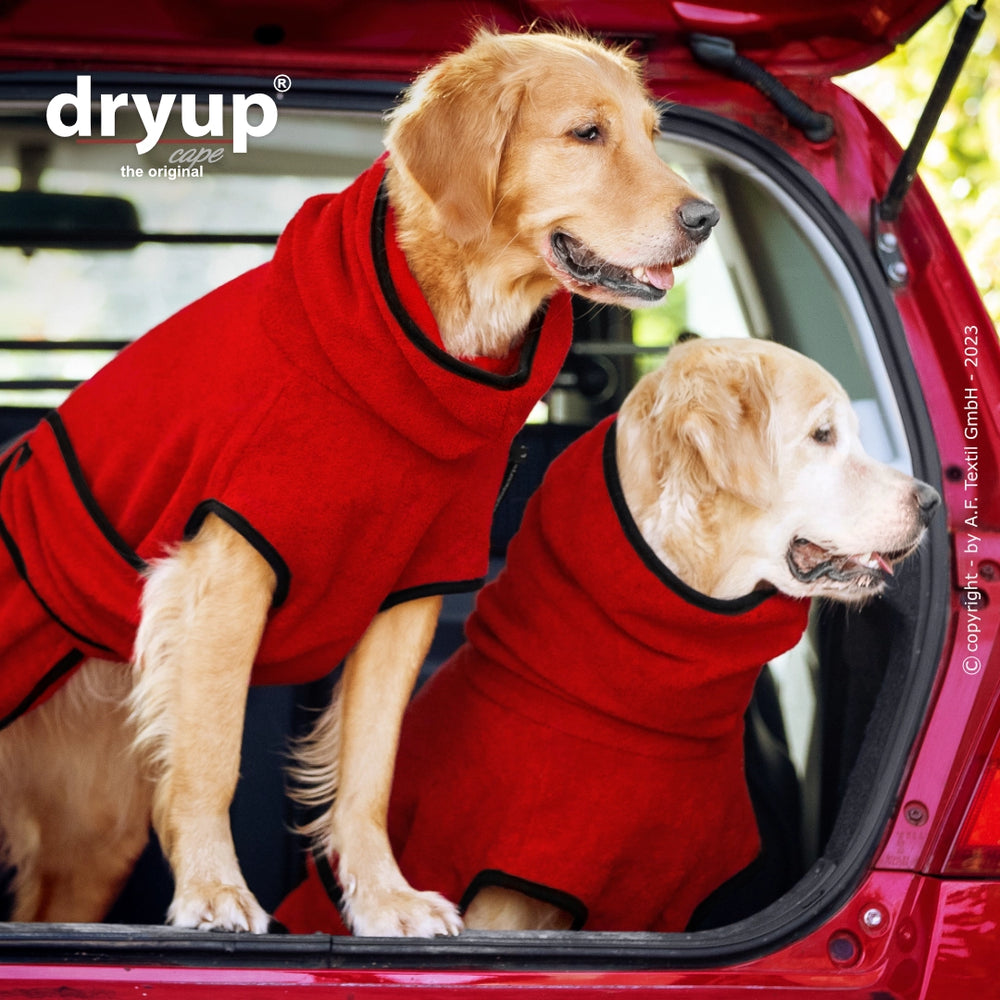 Zwei Golden Retriever im roten Auto, tragen flauschige Dryup® Cape Hundebademäntel in Rot.