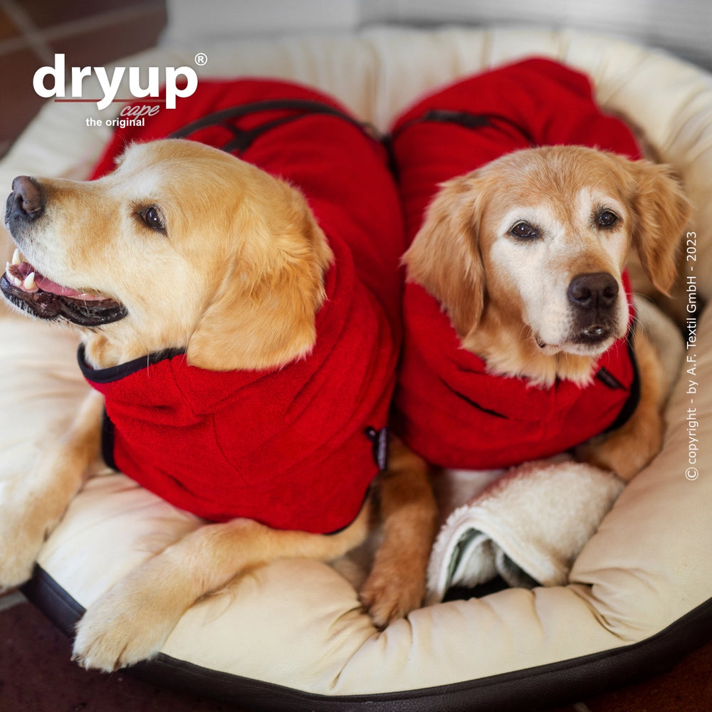 Zwei entspannte Golden Retriever in roten Dryup® Hundemänteln auf einem gemütlichen Hundebett.
