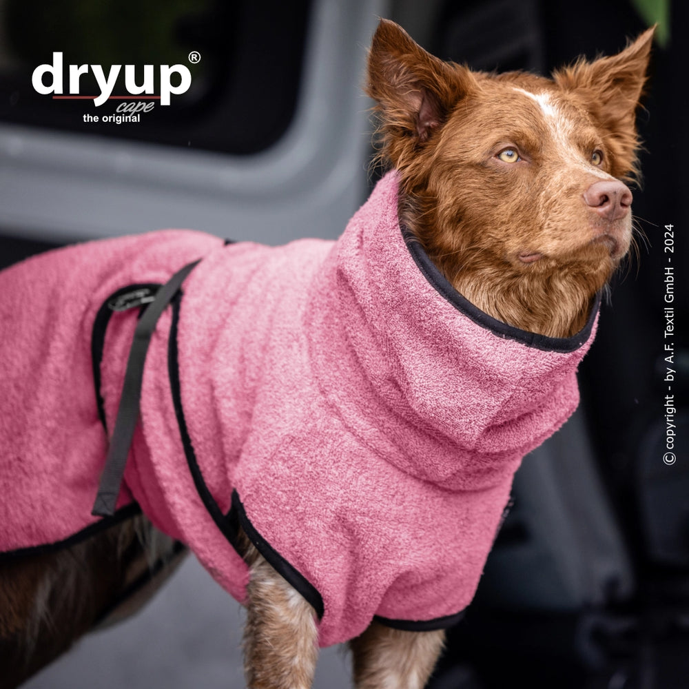 "Pinkfarbener Hundebademantel von Dryup® mit Kapuze, saugfähig und stilvoll - top für nasse Hunde."