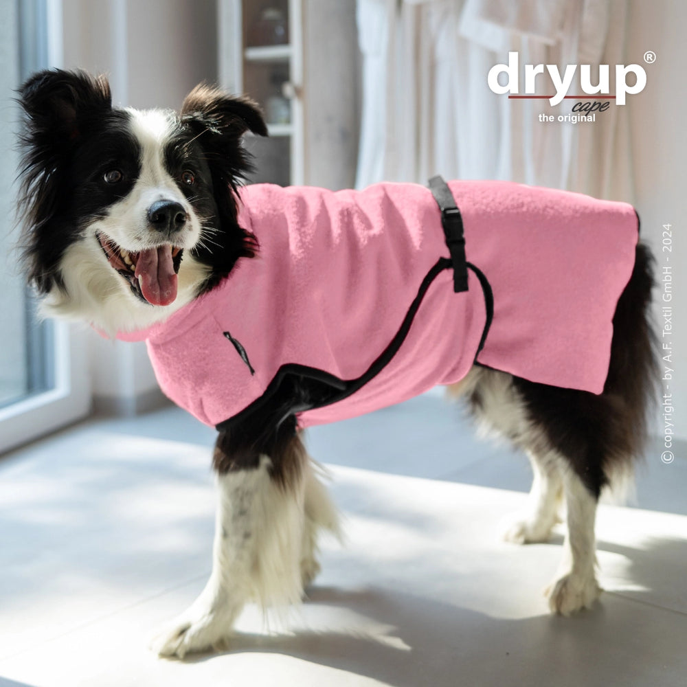 Hund im rosa Fleece-Mantel von Dryup®, freundlich lächelnd in heller Umgebung nahe Fenster.