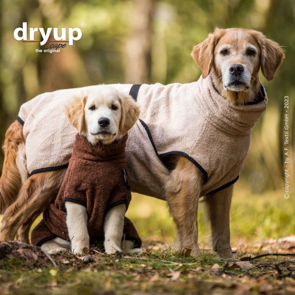 Zwei Hunde im Dryup® cape: Ein Golden Retriever in beige und ein junger Welpe in buntem Poncho.