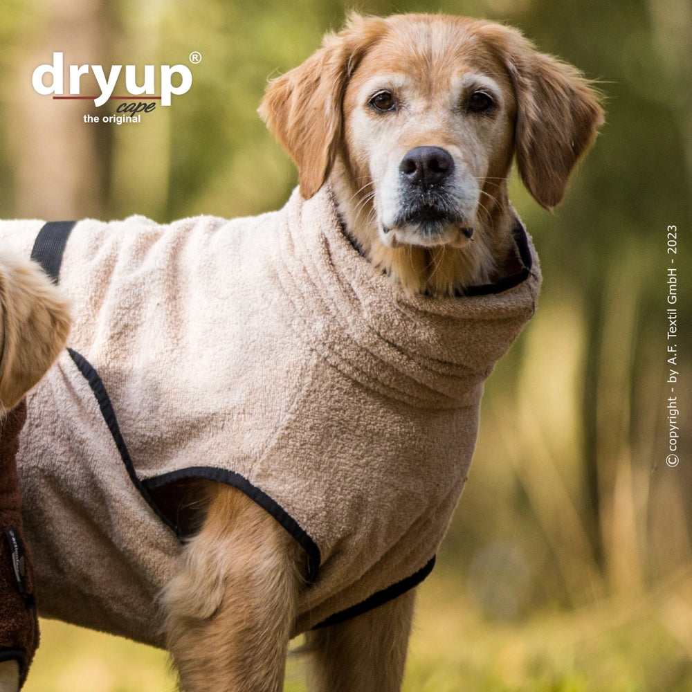 Hund in beigem Dryup® Cape Hundebademantel in naturnaher Umgebung mit Bäumen. Ideal für nach dem Baden.