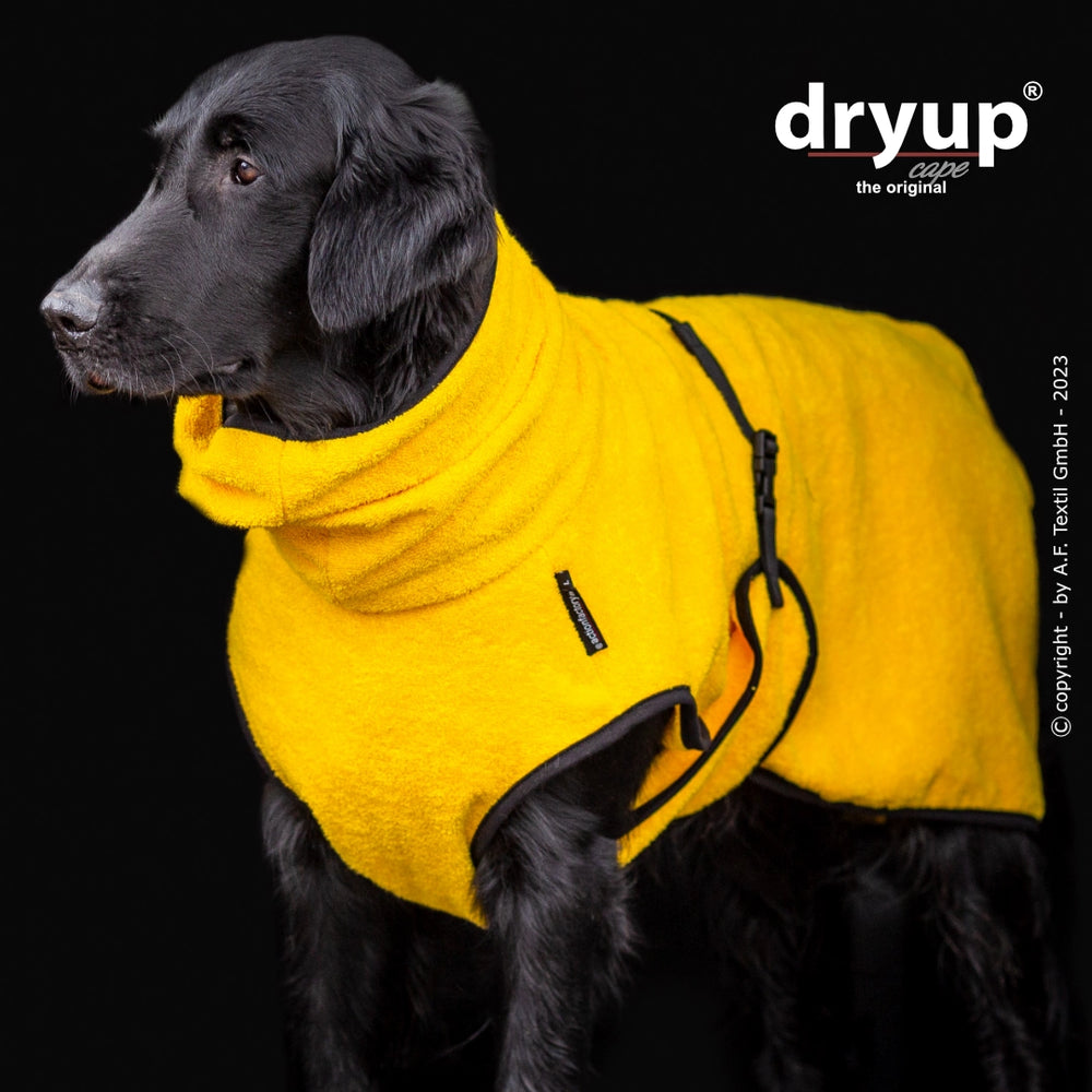 Schwarzer Hund in gelbem Dryup® cape mit Reißverschluss und Kapuze vor schwarzem Hintergrund. Hundebademantel für Hunde.