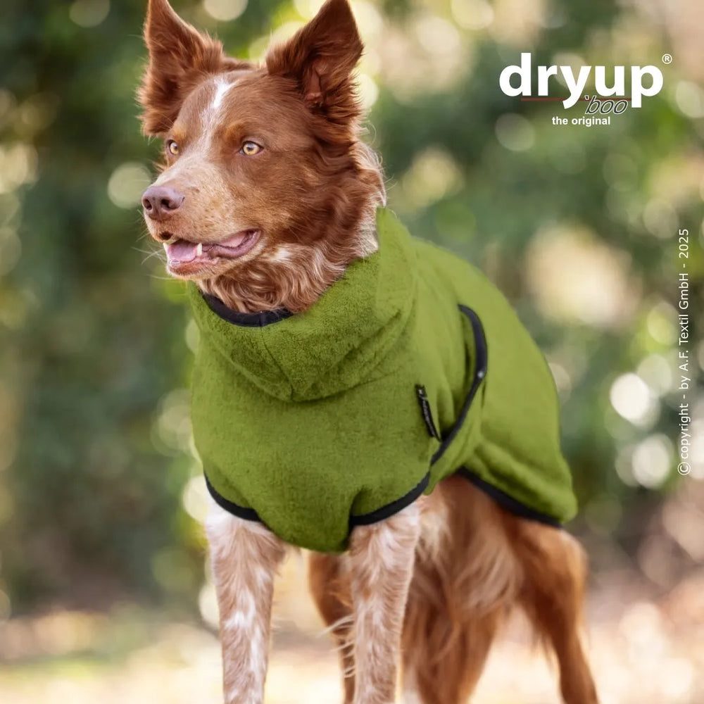 Hund im grünen dryup® Hundebademantel aus Bambusfaser mit unscharfem Baumhintergrund.