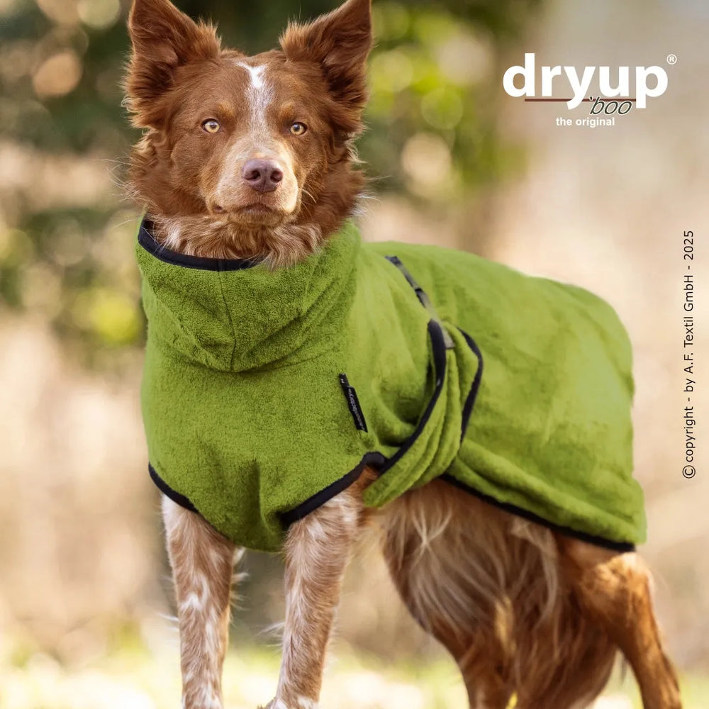 Hund im grünen dryup® Bademantel aus Bambusfaser auf der Wiese, schützt vor Kälte und bietet Komfort.