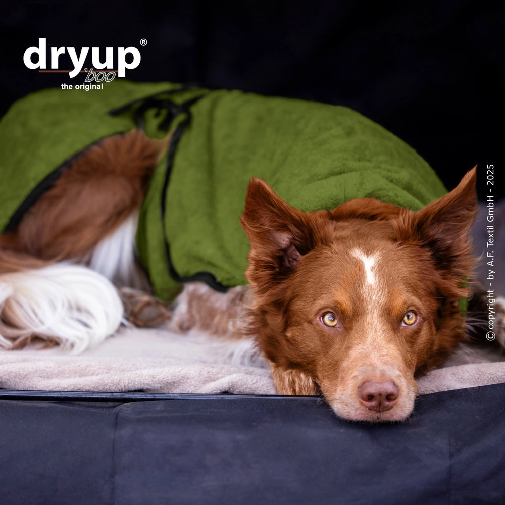 Entspannter Hund in grünem Trockentuch aus Bambusfaser nach dem Baden auf weichem Untergrund.