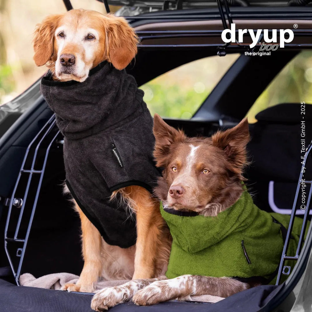 Zwei Hunde im Fahrzeug, einer trägt einen schwarzen, der andere einen grünen Bademantel aus Bambusfaser.