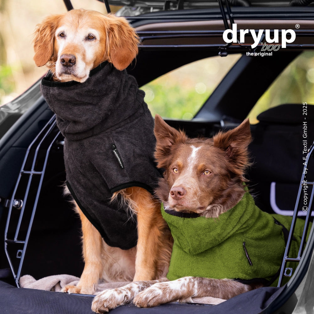 Zwei Hunde im Fahrzeug, einer trägt einen schwarzen, der andere einen grünen Bademantel aus Bambusfaser.