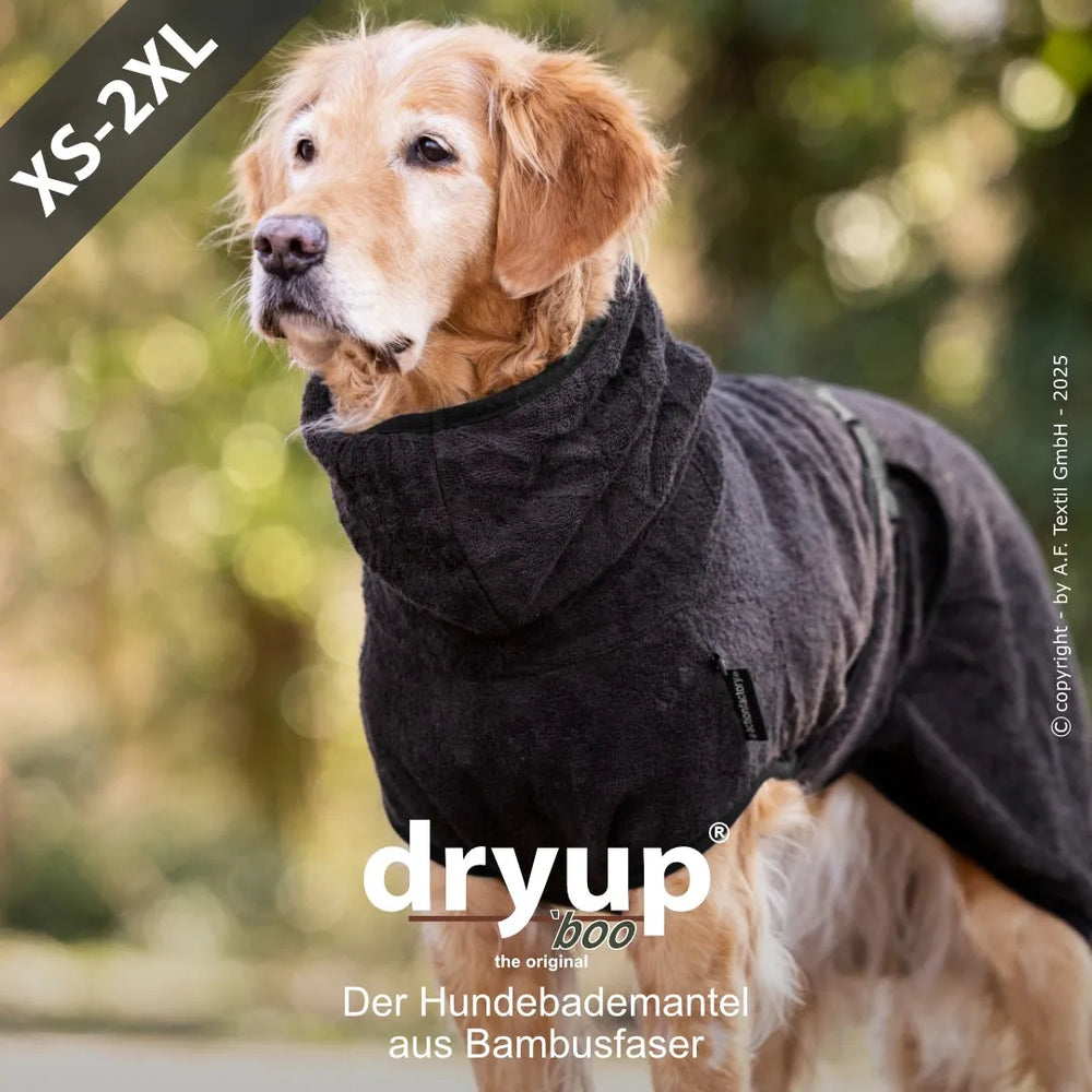 Brauner Hund im dunkelgrauen Bambusfaser-Bademantel mit Kapuze, verfügbar in den Größen XS bis 2XL.