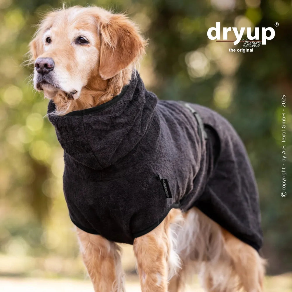Golden Retriever in flauschigem, dunklem Hundebademantel aus Bambusfaser im Bild.
