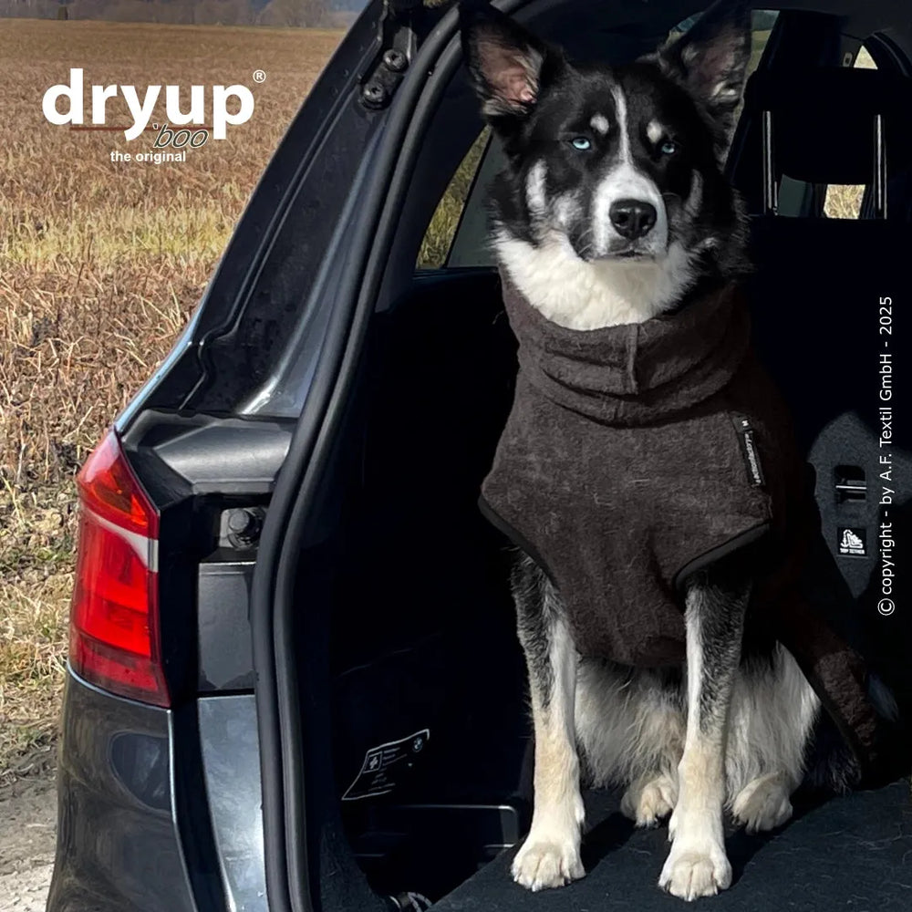 Hund im Auto mit braunem Dryup® Bambusfaser-Bademantel, blauen Augen und ländlicher Kulisse im Hintergrund.
