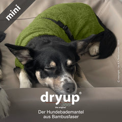 Kleiner Hund entspannt in grünem Hundebademantel aus Bambusfasern auf beiger Unterlage.