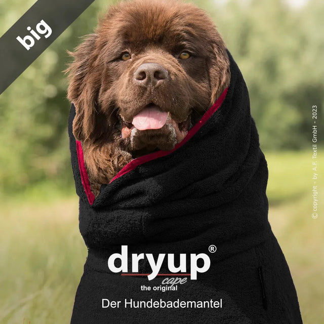 Dryup® cape big - Der original Hundebademantel