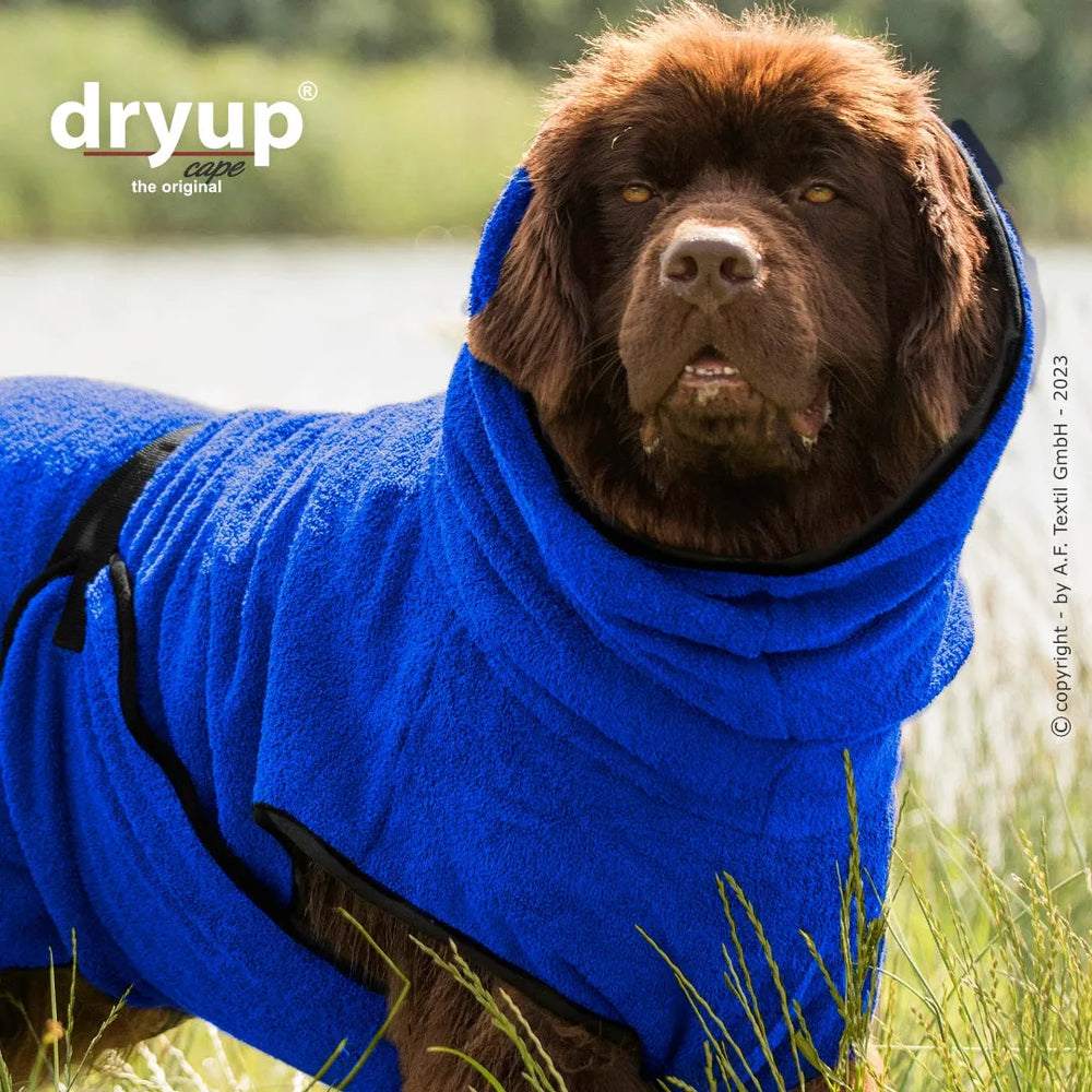 Hund im blauen Fleece-Bademantel von Dryup® in der Natur, umgeben von Gras und Wasser.