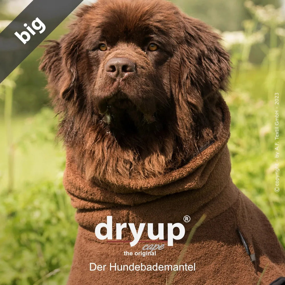 Brauner Dryup® Hundebademantel umhüllt einen fröhlichen Hund mit lockigem Fell, ideal zum Trocknen nach dem Baden.