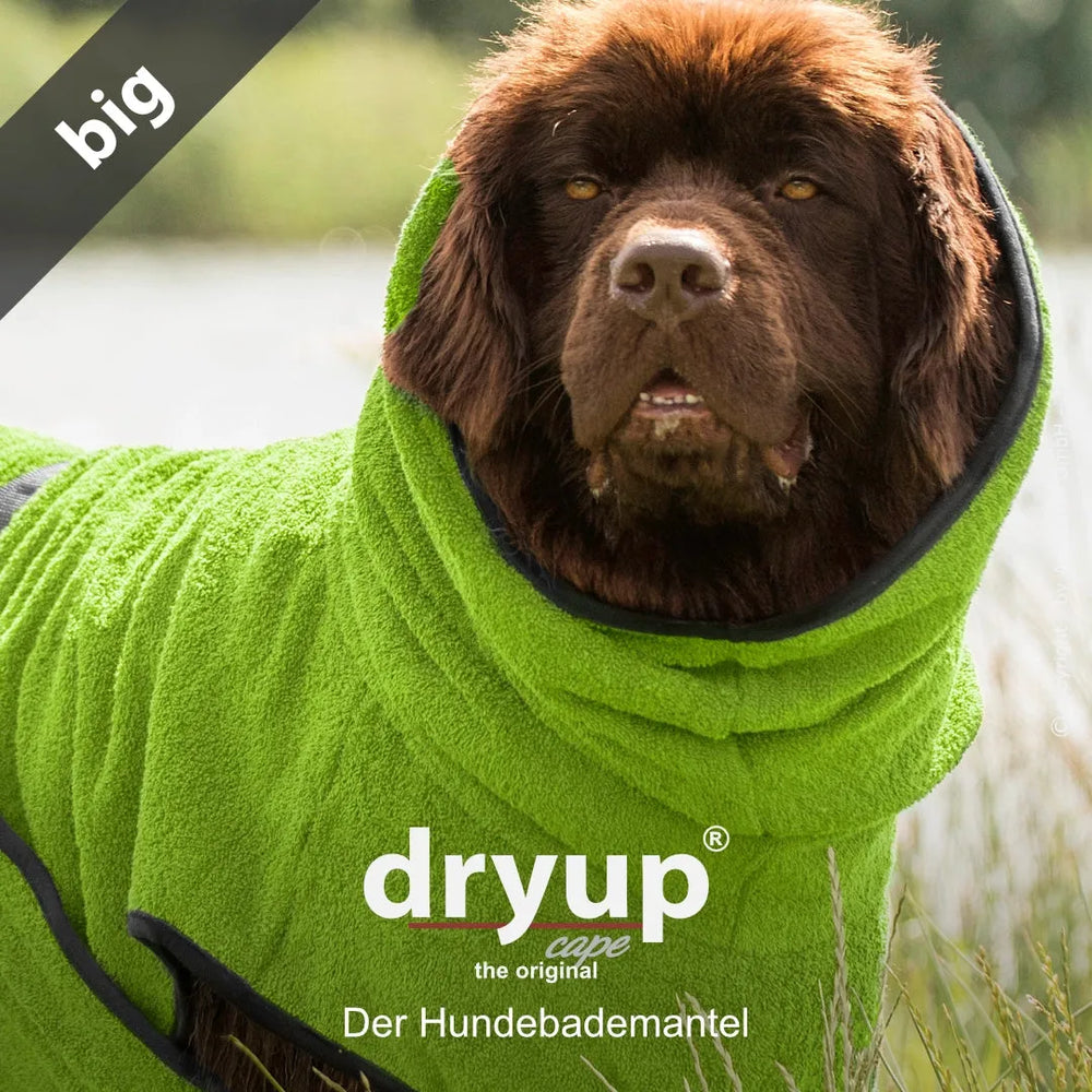 Flauschiger Dryup® Hundebademantel in Grün, getragen von einem Hund in natürlicher Umgebung mit sichtbarem Logo.