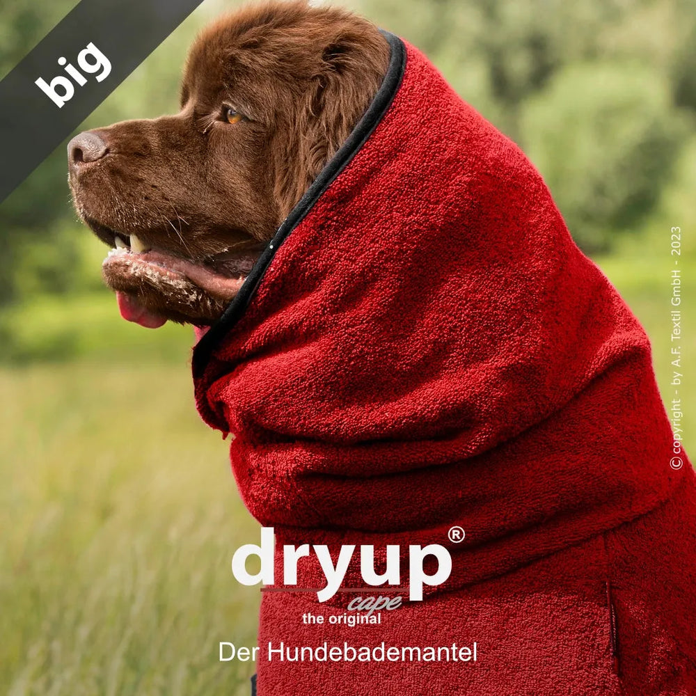 "Roter Hundebademantel Dryup® mit Kapuze, umhüllt einen Hund auf grünem Hintergrund."