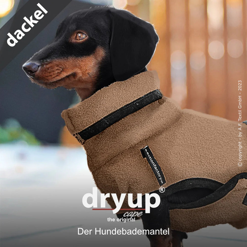 Dackel im braunen Dryup® Hundebademantel mit hohem Kragen, aus flauschigem Material für optimalen Komfort.