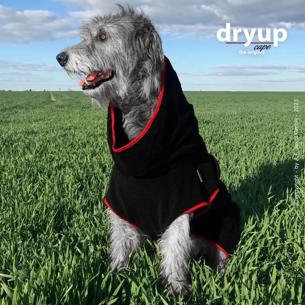 Schwarzer Hundebademantel mit roten Akzenten, Hund sitzt auf grünem Gras unter blauem Himmel.