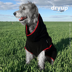 Schwarzer Hundebademantel mit roten Akzenten, Hund sitzt auf grünem Gras unter blauem Himmel.