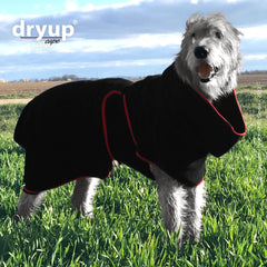 Hund im schwarzen Hundebademantel mit roten Akzenten, lächelnd auf einer grünen Wiese unter bewölktem Himmel.