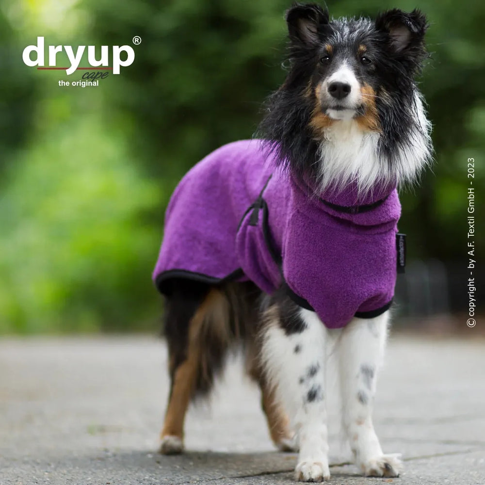Ein Hund in einem lila Fleece-Mantel steht auf einem Weg, umgeben von grünem Hintergrund, und wirkt bequem und warm.