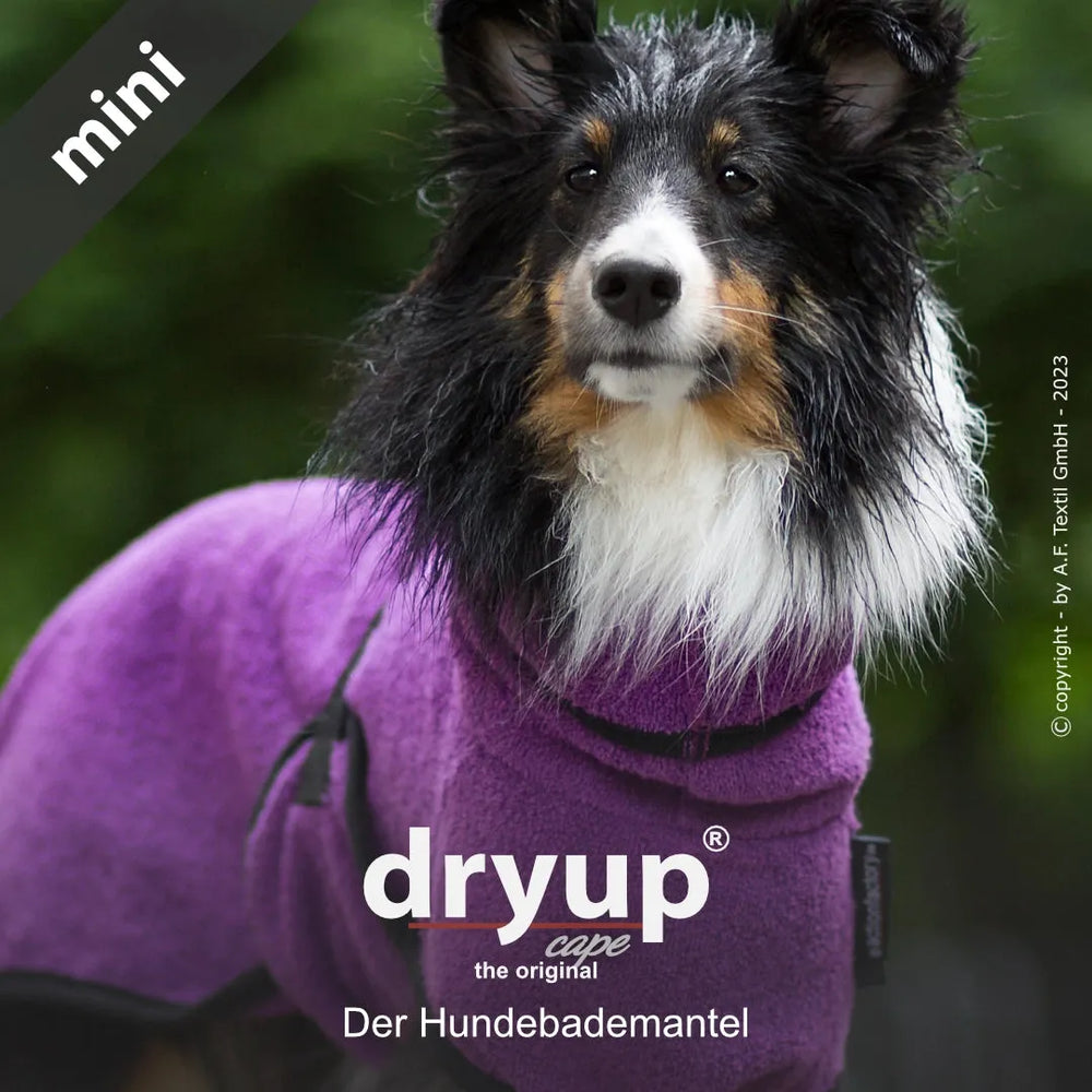 Hund im lila Dryup® cape mini Hundebademantel, ärmellos, vor unscharfem Grün, mit auffälligem Logo oben links.