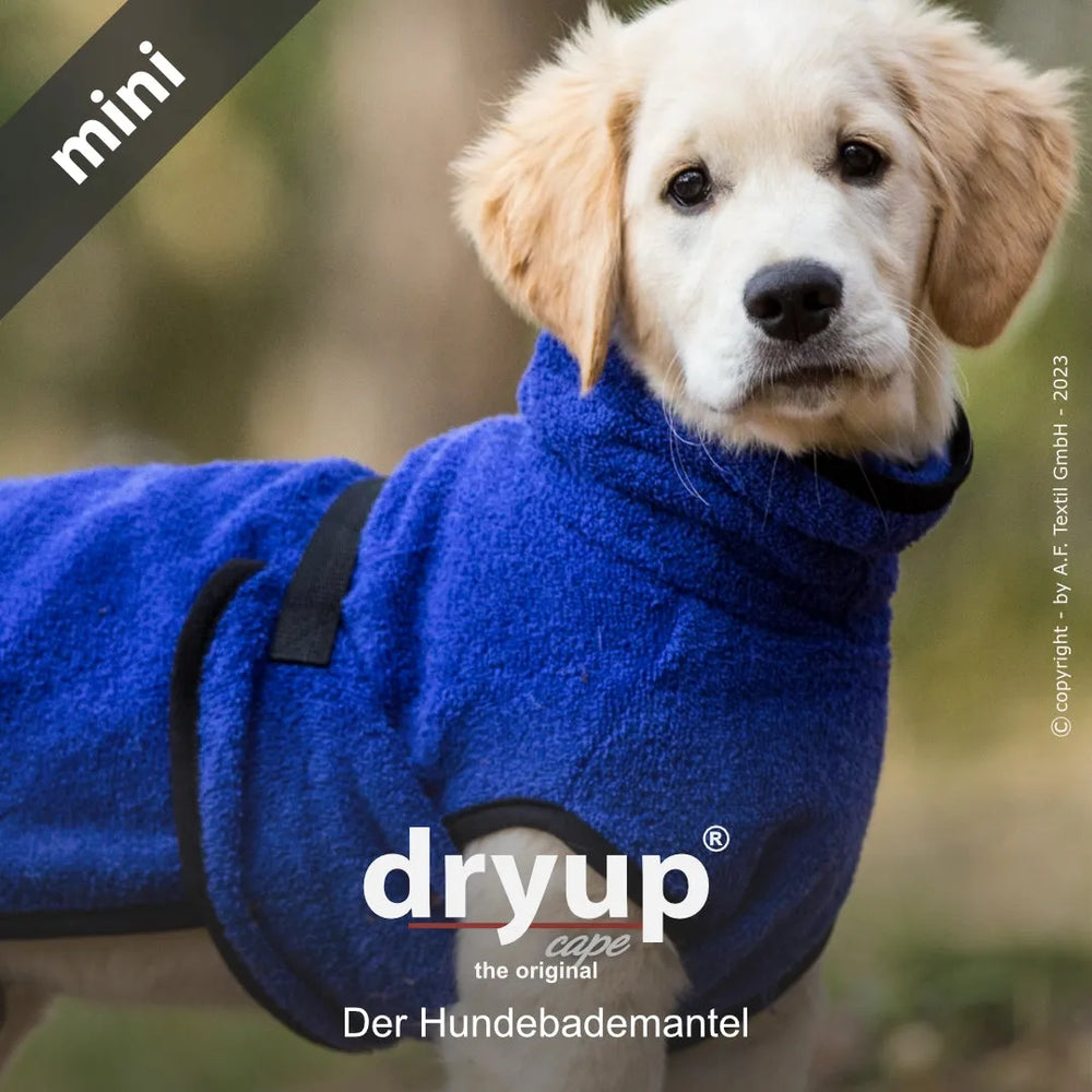 Hund im blauen Fleece-Hundebademantel von Dryup® cape mini, umgeben von unscharfer Natur.