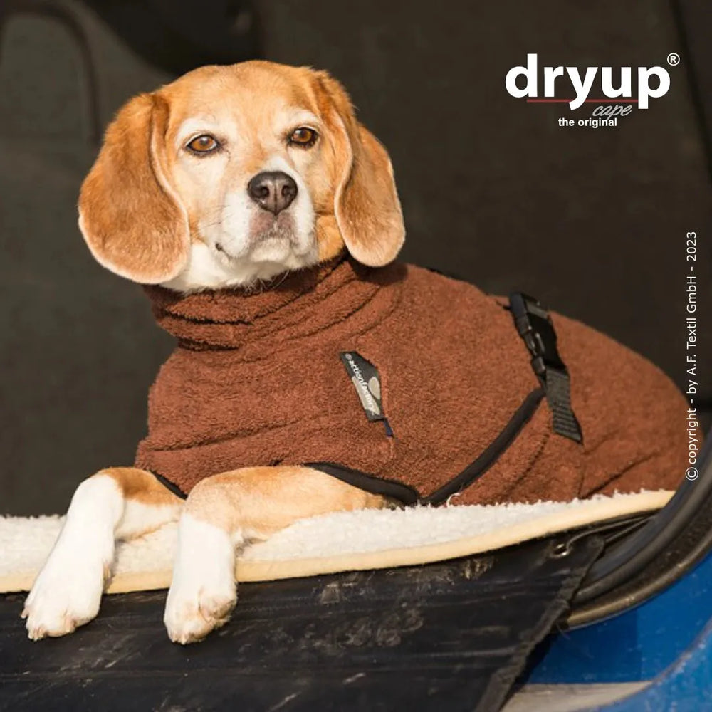 Beagle entspannt im Fahrzeug-Interior, trägt braunen Dryup® Hundebademantel für schnelles Trocknen nach dem Bad.