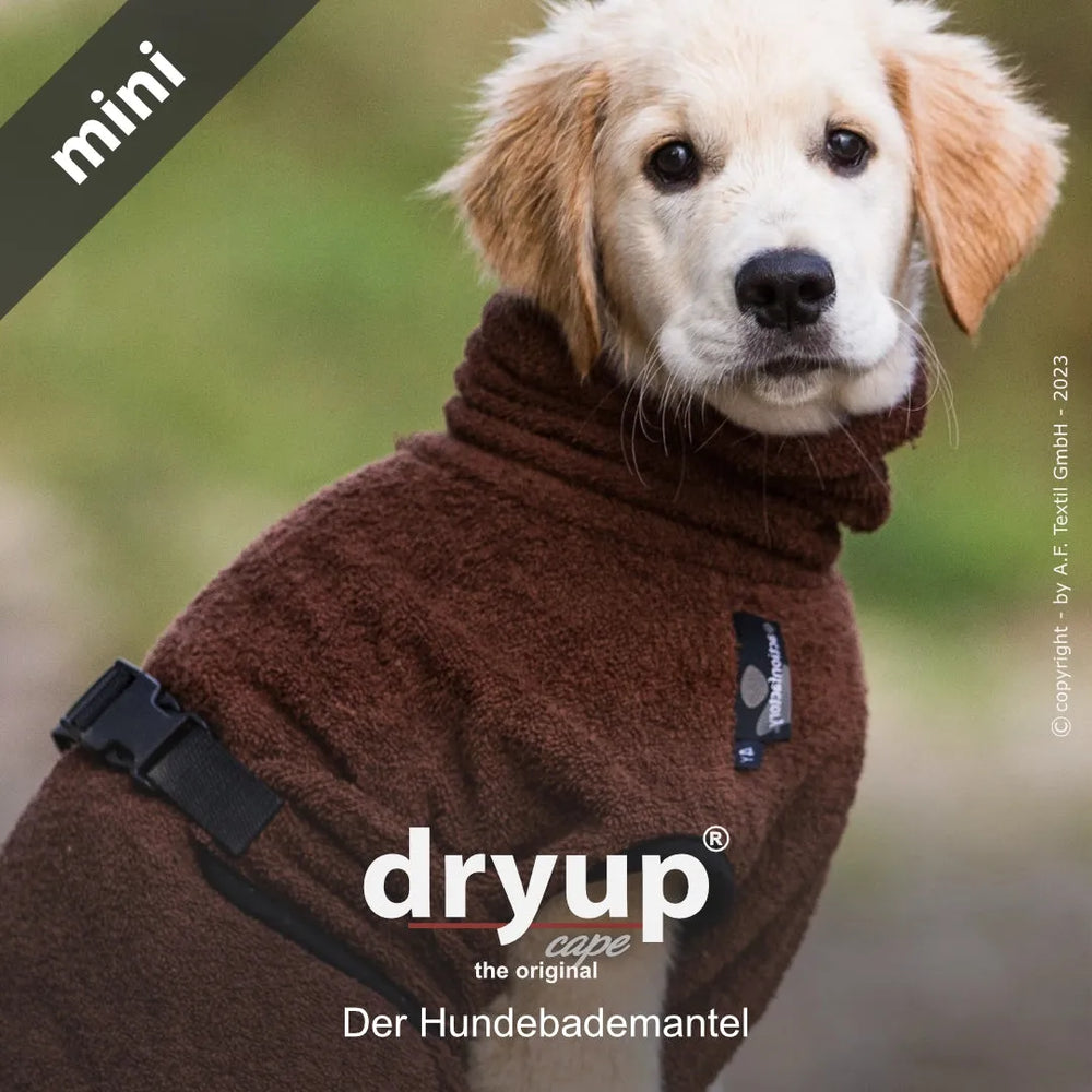 Hund im kuscheligen Dryup® Cape Mini Bademantel mit hohem Kragen und praktischer Schnalle, ideal für nach dem Baden.