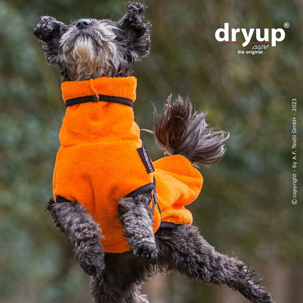 Kleiner Hund springt fröhlich in orangefarbenem flauschigen Hundebademantel vor unscharfem Baumhintergrund.