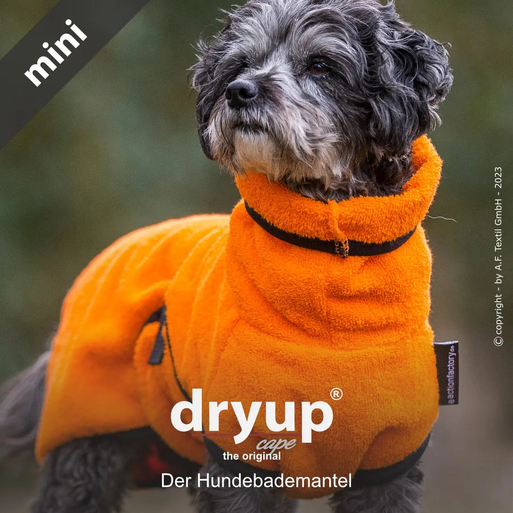 Kleiner Hund im orangefarbenen Dryup® Hundebademantel, ideal für Trockenheit und Komfort nach dem Baden.