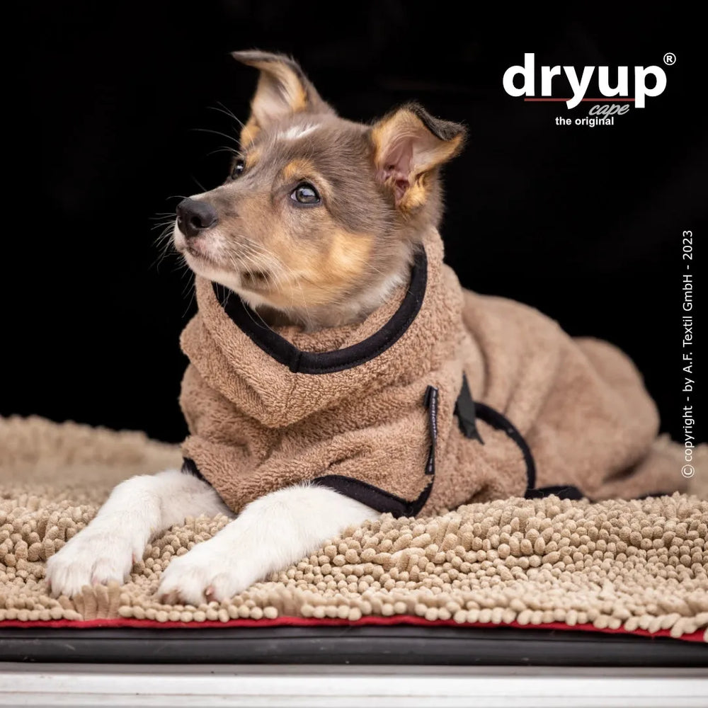 Kleiner Hund entspannt im beigen Dryup® Hundebademantel mit hohem Kragen und schwarzen Details.