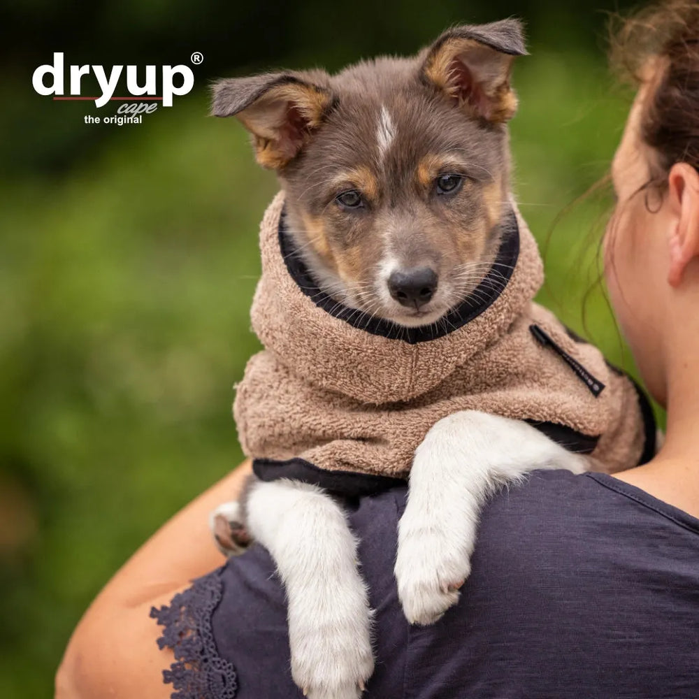 Welpe in beigem Dryup® Hundebademantel, von Person gehalten, vor grünem Hintergrund.
