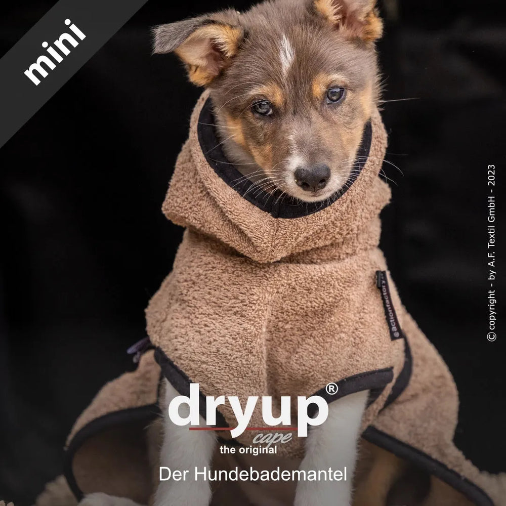 Kleiner Hund im beigen Dryup® Hundebademantel mit Kapuze, aus leichtem und saugfähigem Material.