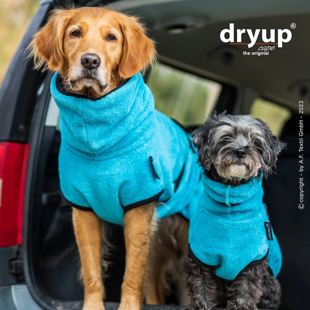 Zwei Hunde im blauen Dryup® cape mini Hundebademantel, ein Golden Retriever im Auto und ein schwarzer Hund daneben.