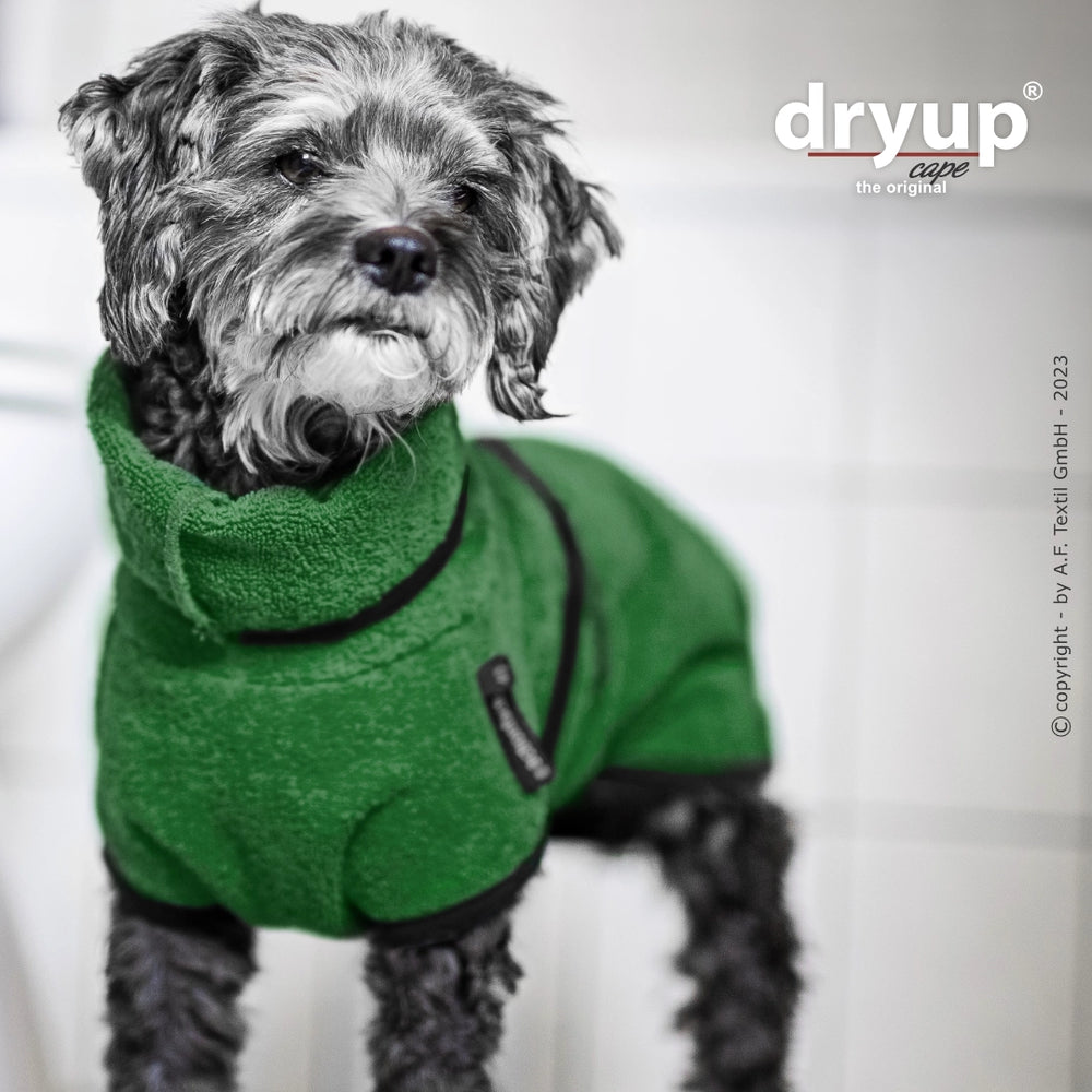 Hund im grünen Fleece-Bademantel von Dryup® mit hohem Kragen, posierend vor unscharfem Hintergrund.