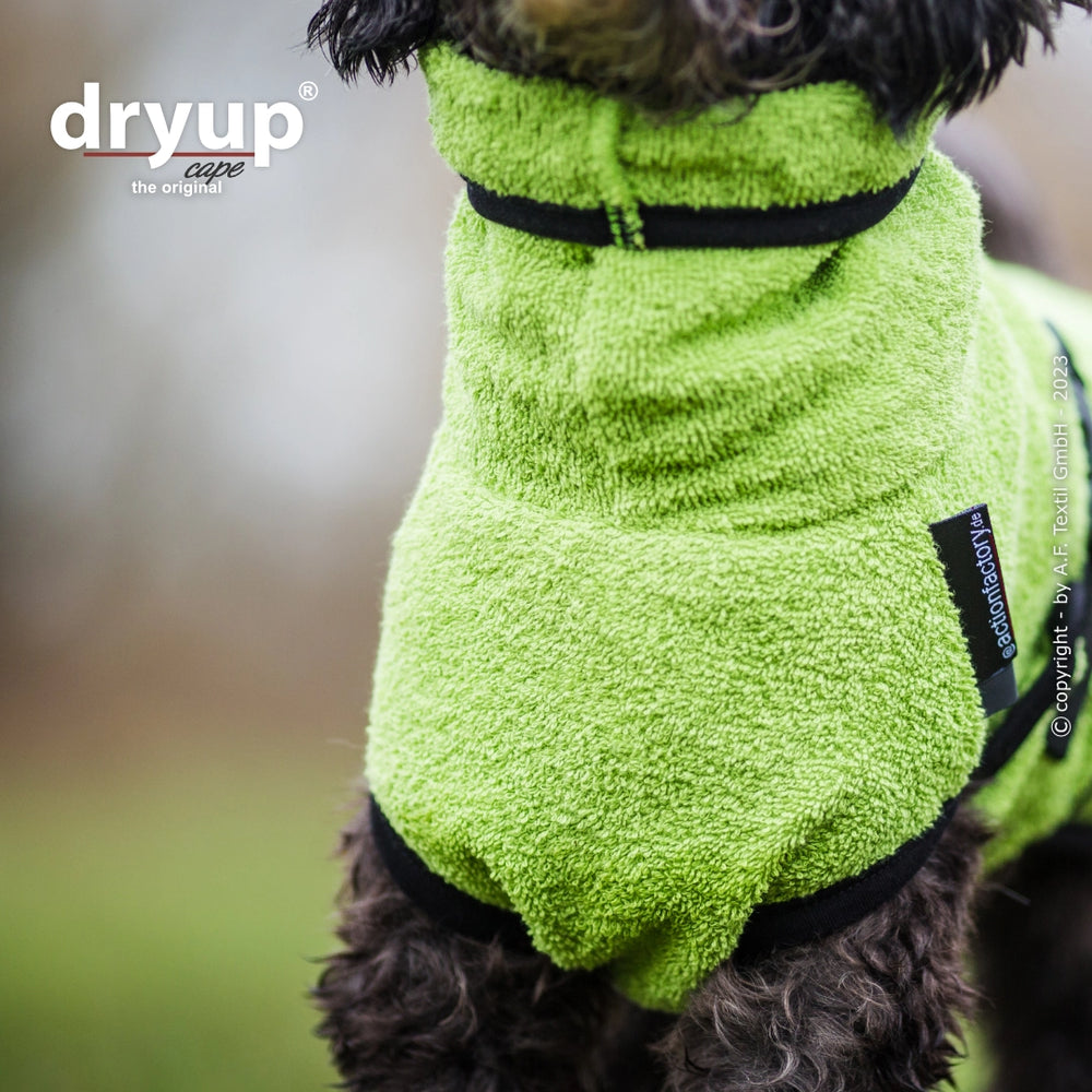 Hund im grünen Handtuch-Overall von Dryup® auf Gras, weich und saugfähig, ideal nach dem Baden.