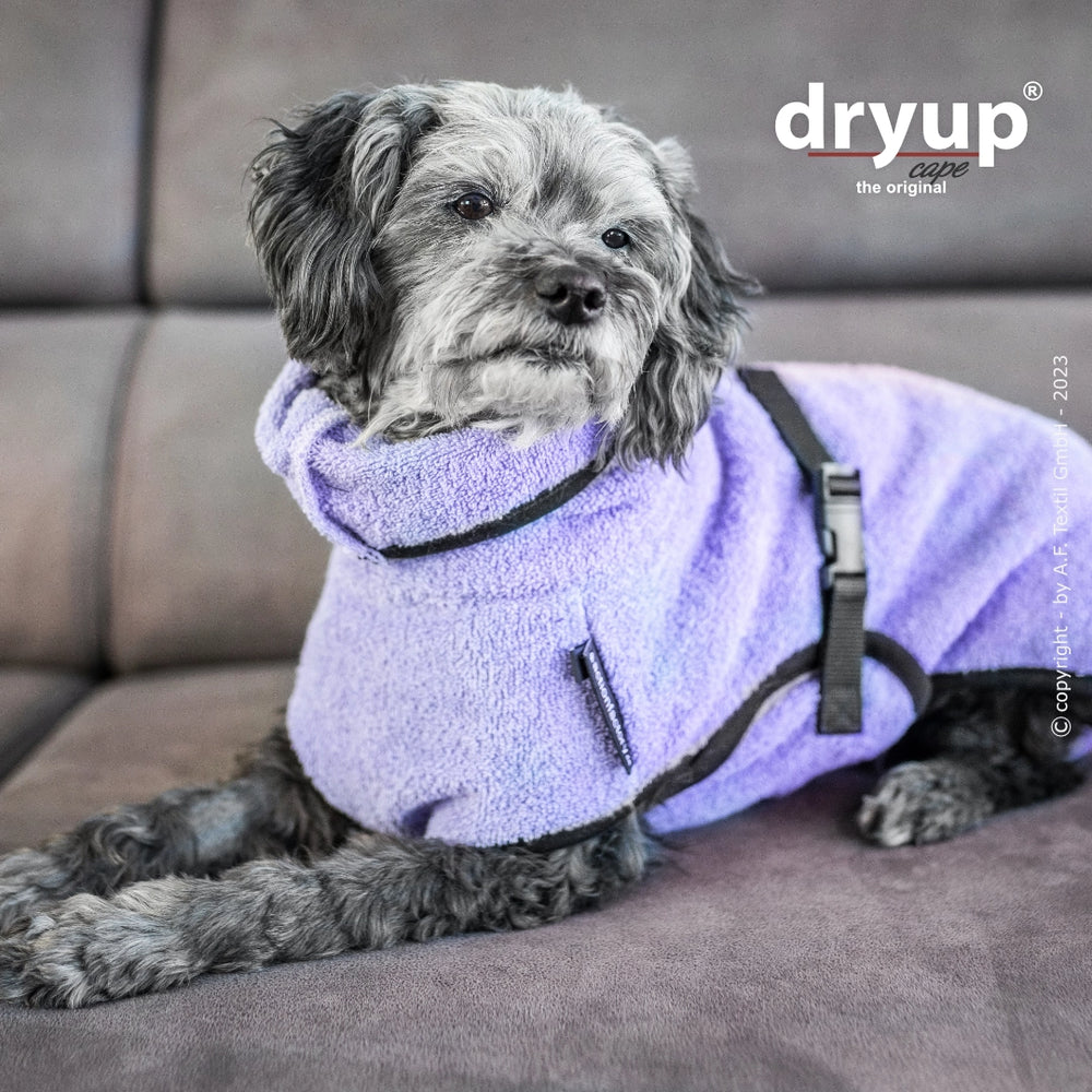 Hund im lila Dryup® Hundebademantel sitzt entspannt auf grauem Sofa, Blick zur Seite. Praktischer Reißverschluss und verstellbarer Gurt.