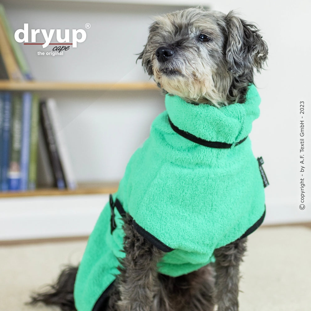 Hund im grünen Fleece-Mantel von Dryup® sitzt vor Bücherregal und schaut zur Kamera, ideal für nach dem Baden.