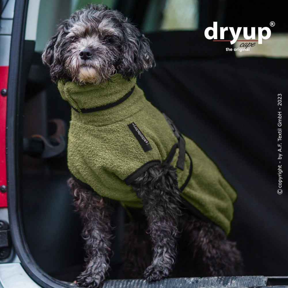 Hund im olivgrünen Dryup® cape mini Bademantel sitzt auf der Rückbank eines Autos mit offener Tür.