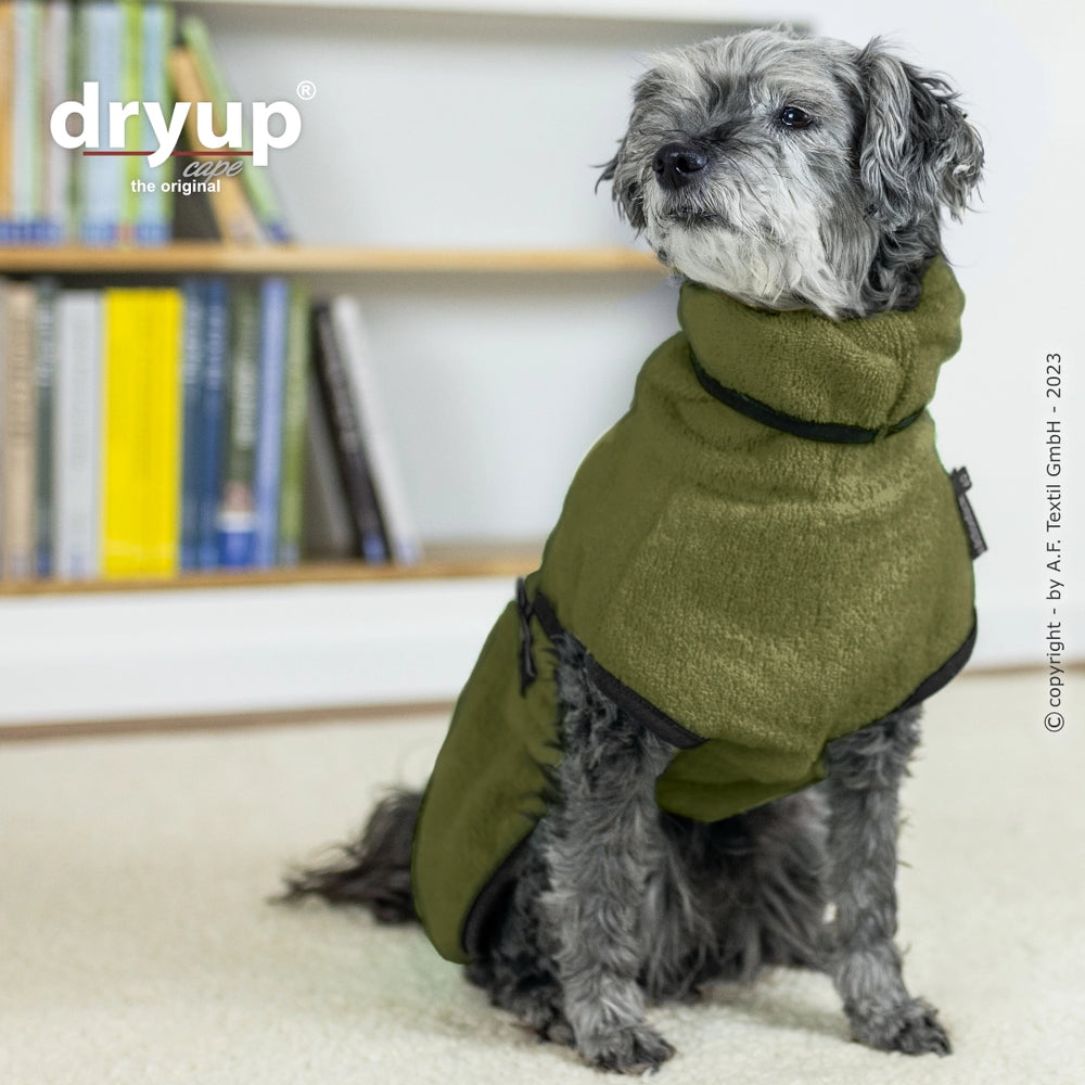 Hund im grünen Fleece-Mantel von Dryup® auf hellen Teppich vor Bücherregal, ideal nach dem Baden.