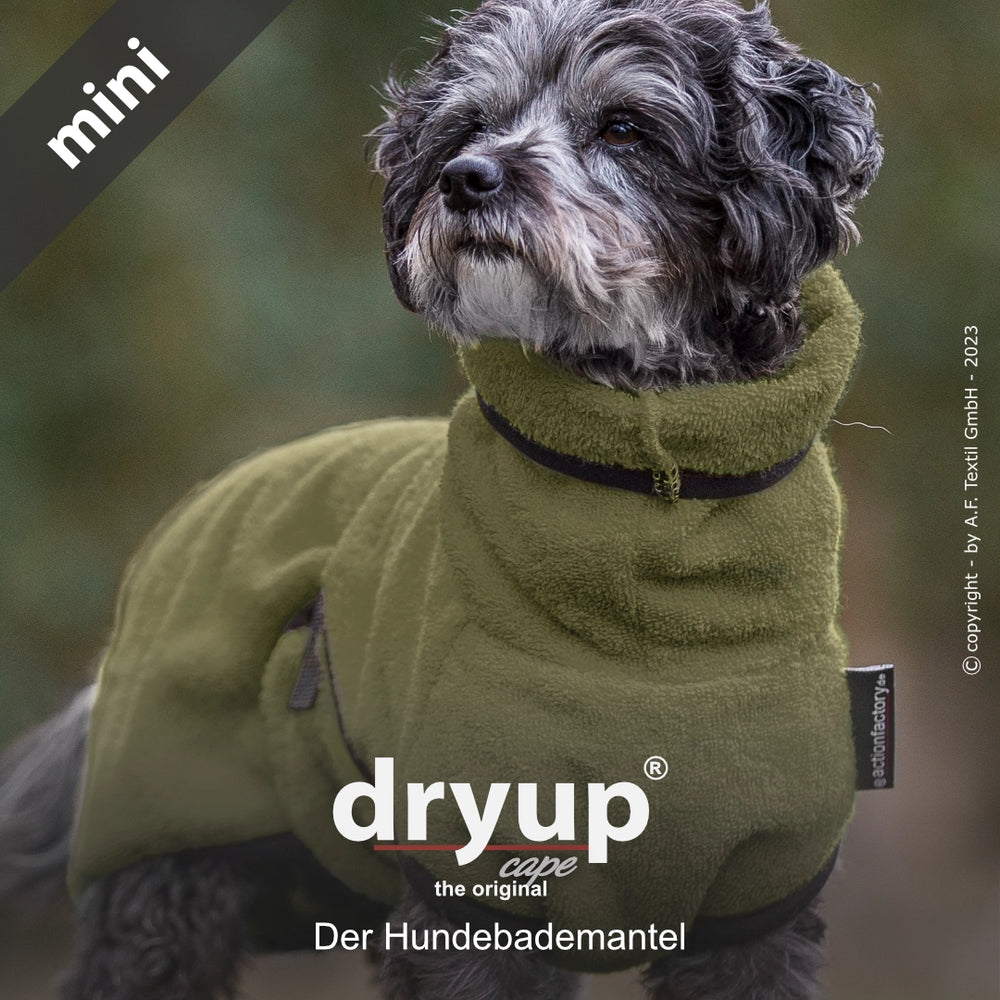 "Ein kleiner Hund im flauschigen grünen Dryup® cape mini Hundebademantel mit hohem Kragen, steht aufrecht."