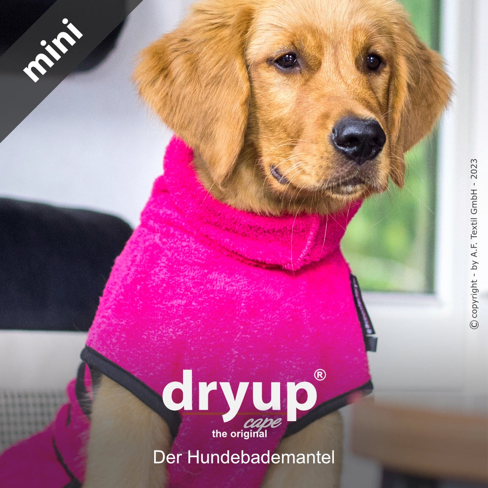 Hund im pinken Dryup® cape mini Hundebademantel, weich und flauschig, schaut lässig in die Kamera.