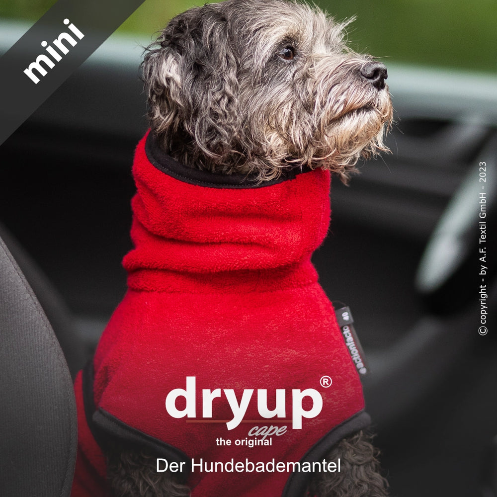 Kleiner Hund im roten Dryup® Hundebademantel sitzt im Auto, perfekt gegen Kälte und Nässe geschützt.