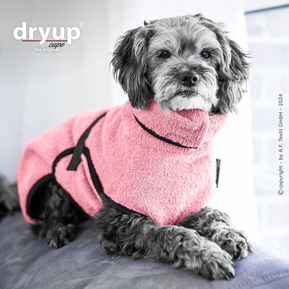 Kleiner Hund in rosa Handtuchmantel von Dryup® sitzt auf der Couch und schaut direkt in die Kamera.