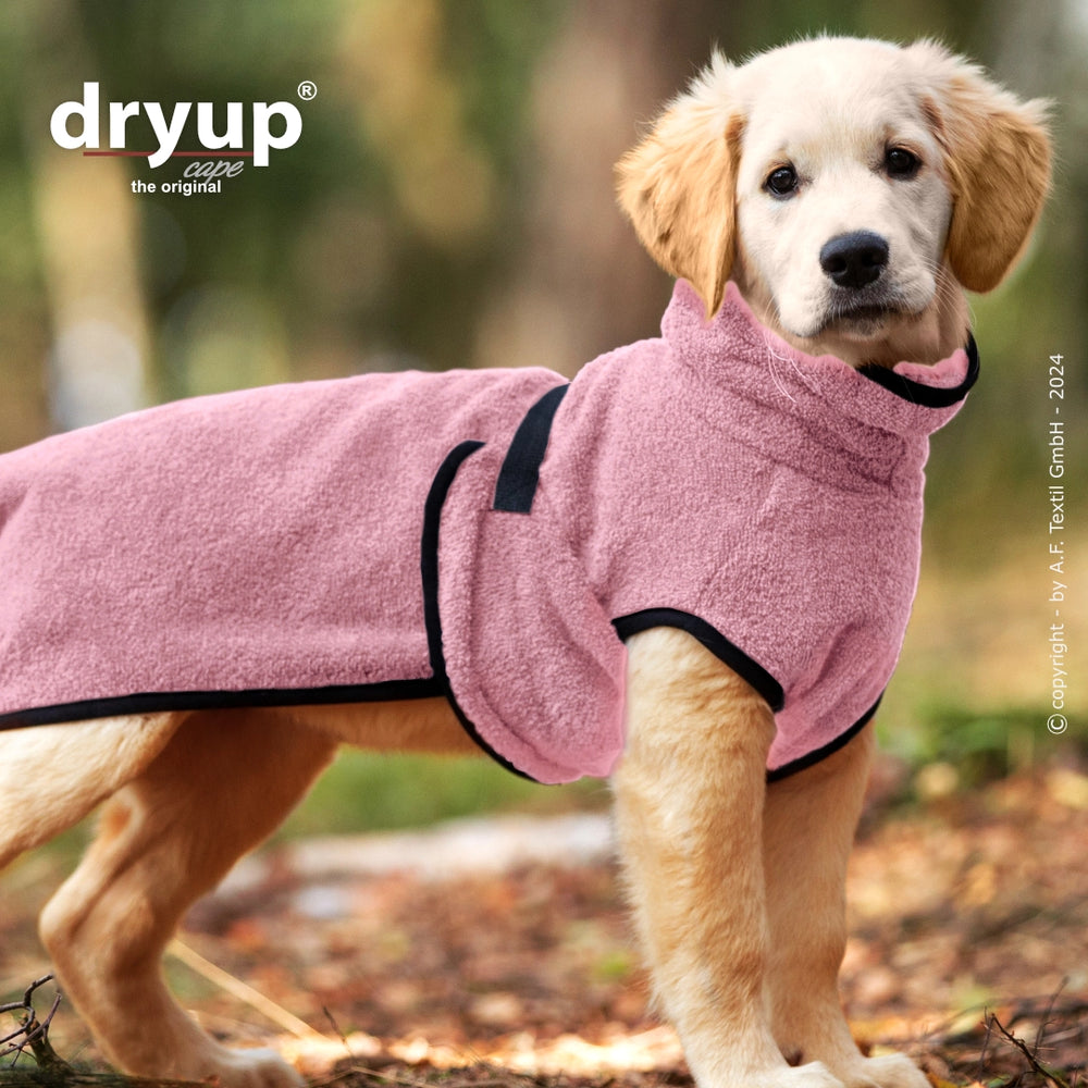 Junger Golden Retriever im pinken Hundebademantel aus weichem Material, umgeben von unscharfen Bäumen und Natur.